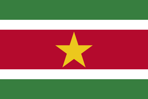 Suriname Courtesy flag