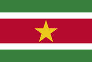 Suriname Courtesy flag