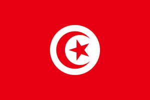 Tunisia Courtesy flag
