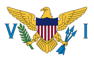 United States Virgin Islands Courtesy flag