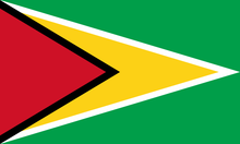 Guyana Courtesy flag