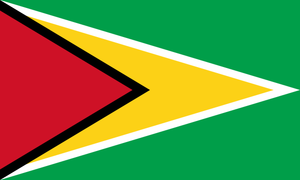 Guyana Courtesy flag