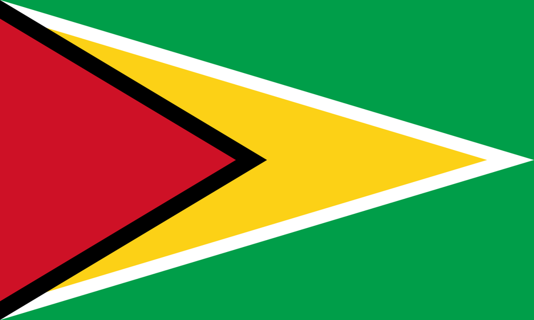 Guyana Courtesy flag