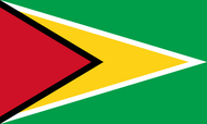 Guyana Courtesy flag
