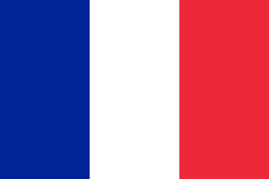 France Courtesy flag