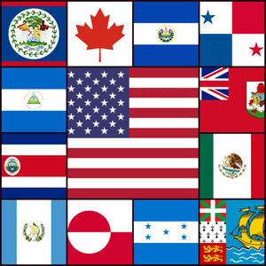 LAIVAA Courtesy flags set - Central & North America