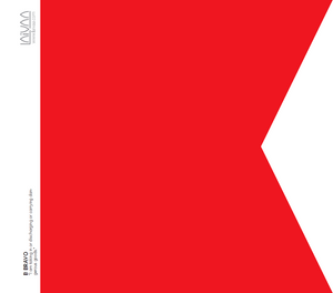 Code Flag B Bravo